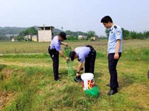 鑫满塘青蛙养殖(湖南桃江男子深夜捕捉蛙类 巡逻民警当场抓获)