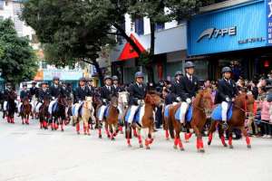 矮马养殖场(德保矮马：贫困户脱贫致富好帮手)