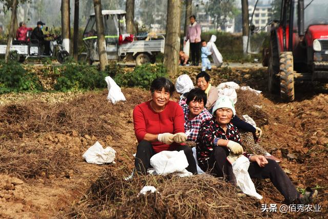 闲不住的农村妇女，不种庄稼不打工，有哪些挣钱好渠道？