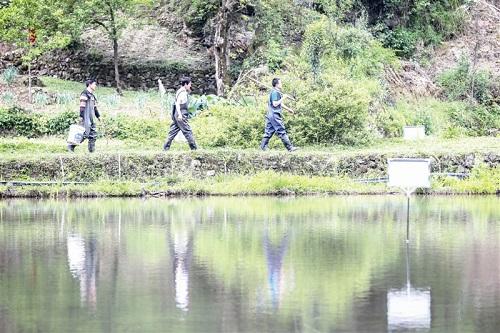 贵州省毕节市小吉场镇南丰村：合作社养殖龙虾 助民增收致富