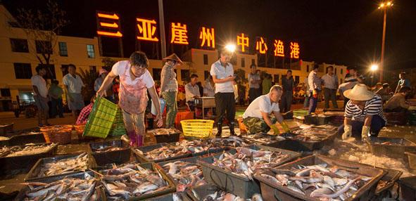 开海了！看过海南渔港码头的这些海鲜，北方人感慨不在同一个世界