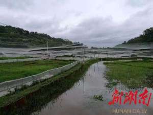 株洲青蛙养殖基地(穷山沟里养“金蛙”)