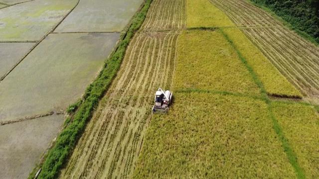 广东省首个万头肉牛养殖基地落户肇庆！同期启动的还有这些项目……