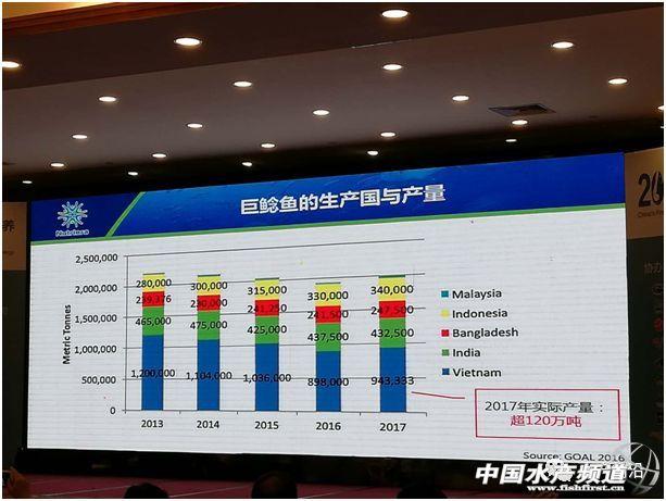 这条鱼好养，一年时间行情疯长40%！