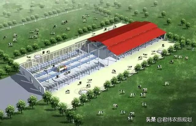 肉牛标准化饲养示范场项目的创建标准与要求有哪些？