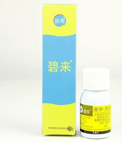 杀不死的“小黑飞”？教你4种方法，整个夏天养花，清净了