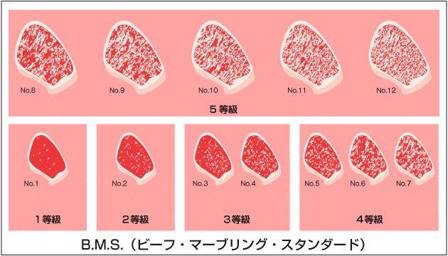 日本和牛解禁，我终于不用再吃假货了