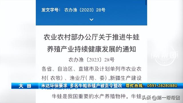 污水直排、违规选址！多个牛蛙养殖点面临清理，守牢生态红线！