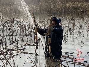 多项养殖(新野县上港乡：多项种养巧循环 致富路上大步走)