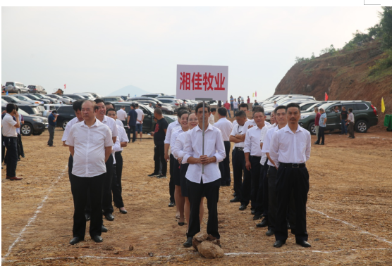 湘佳牧业1250万羽优质鸡养殖基地项目正式开工