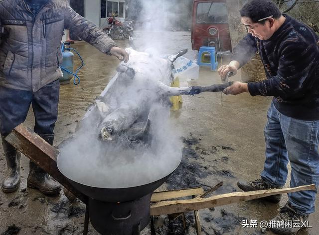 从饲养到宰杀——图说营山县大庙乡元龙山羊养殖场