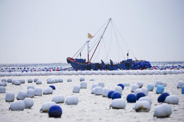 寻找“浙里”蓝色海湾②嵊泗：200万颗浮球换装记