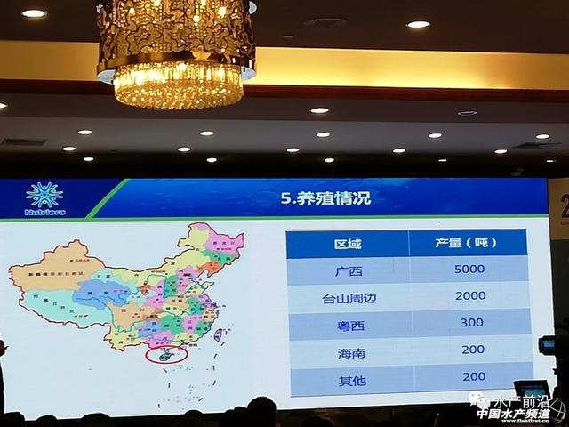 这条鱼好养，一年时间行情疯长40%！