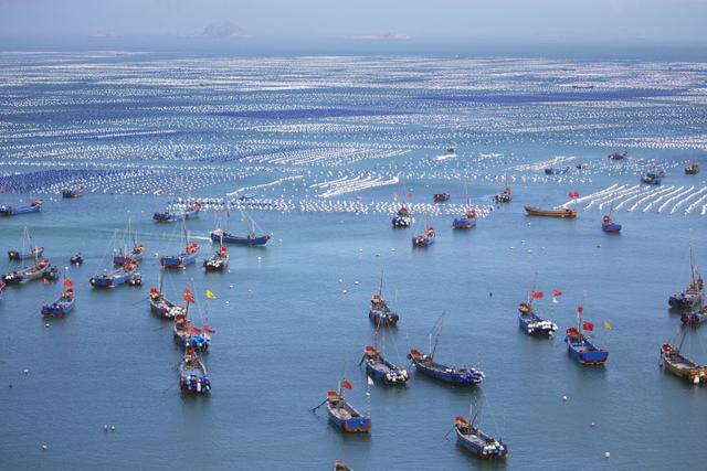 寻找“浙里”蓝色海湾②嵊泗：200万颗浮球换装记