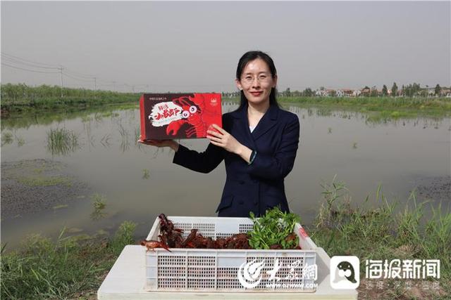 这就是山东｜鲁力助农 生态龙虾之乡 副县长泛舟话龙虾