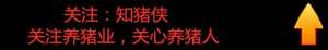 如何找养殖场地(新建养猪场怎样选好场地以及合理布局？一篇文章让您少走弯路)