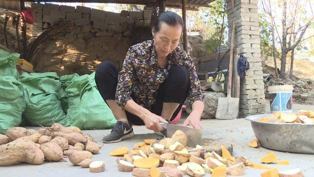 浠水：与寂寞为伴 “倔强姐”吴波深山养土鸡17年