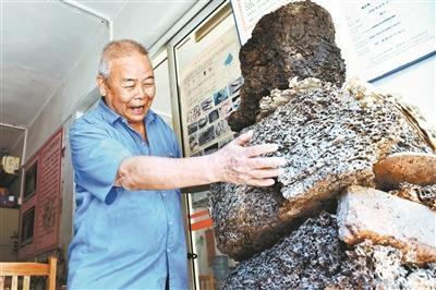 77岁“蚁人”治蚁60年 家中养10万只白蚁供研究