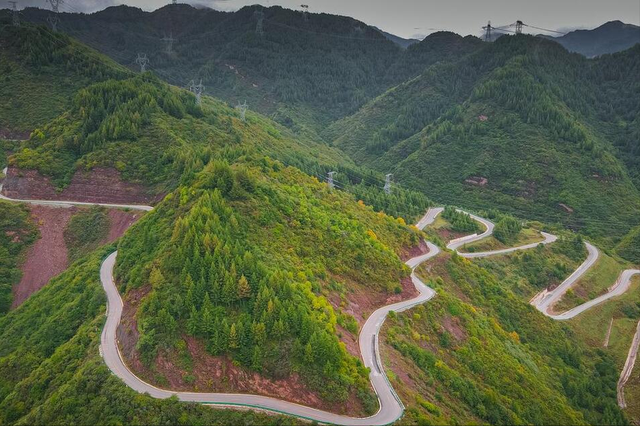 他养的黑鸡浑身都是宝，一招便打开市场，年销售突破1000多万元