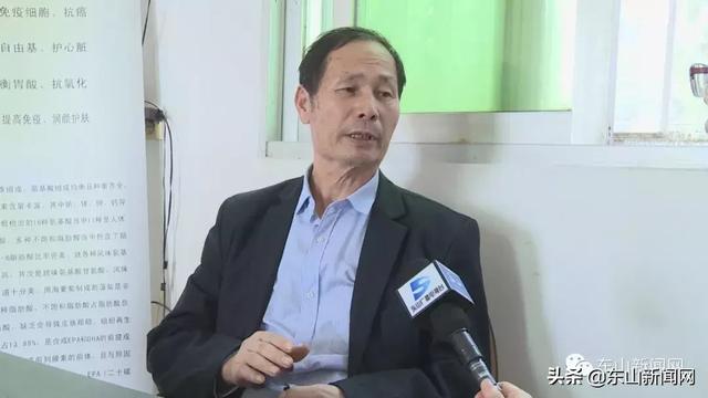 漳州东山：养殖重心转移 让海葡萄在东山生根