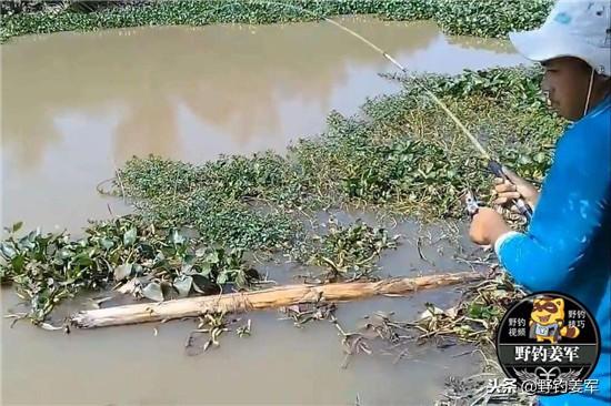 鲶鱼最喜欢什么食物！想野钓鲶鱼知道这些必不可少