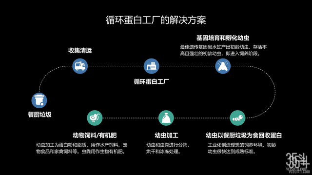 13家公司累计融资超60亿元，昆虫蛋白缘何成为新风口？