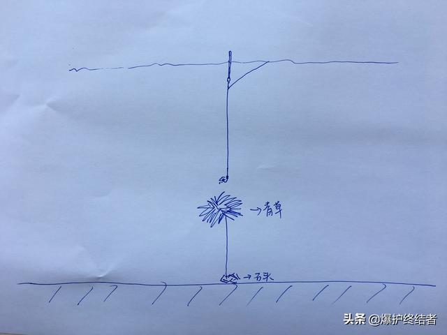 草鱼到底怎么钓？方法就在这份涵盖全水层，5种钓法的作钓攻略里