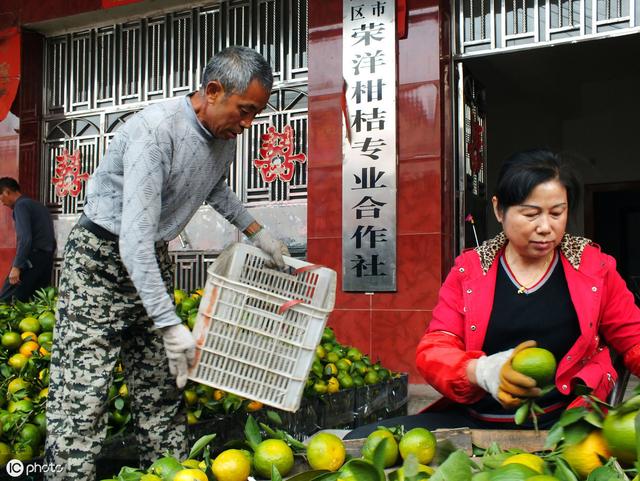 种养殖业大户及农民专业合作社贷款申请条件