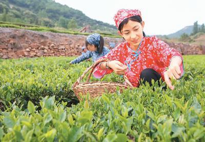 小县城里的“大生意”