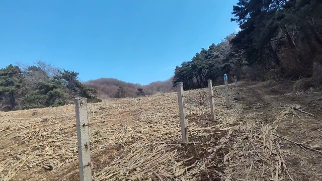 沈阳苏家屯白清寨：平房+百亩山地租，包山做养殖