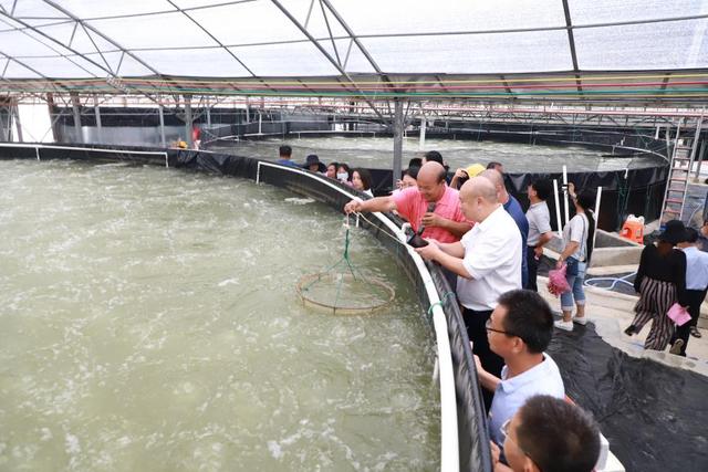 广西大力推进机械化水产生态养殖