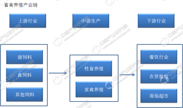 中国畜禽养殖产业链及主要企业分析（附产业链全景图）