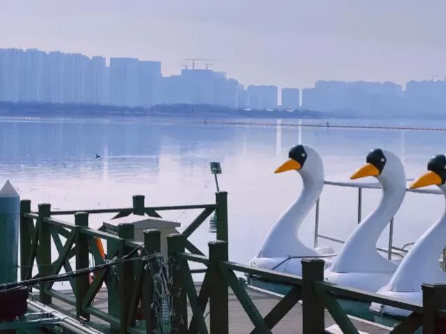 太原市晋源区：春暖花开，来晋阳湖坐“大鹅”