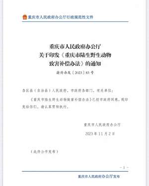 重庆农村养殖补贴政策(重庆出新规：野猪伤人或糟蹋庄稼 都可申请补偿)