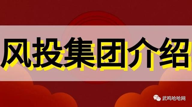 2019年南宁市武鸣区首届创业大赛，2万元大奖花落谁家？