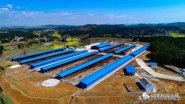 肉牛标准化饲养示范场项目的创建标准与要求有哪些？