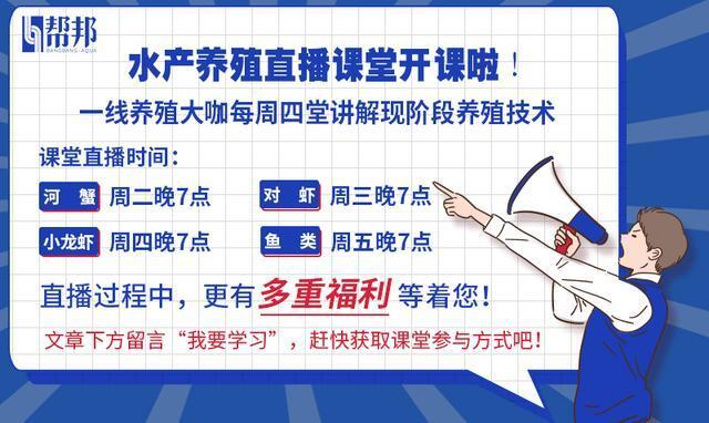 使用水产药物的这19个要点，不注意就只能亏本了