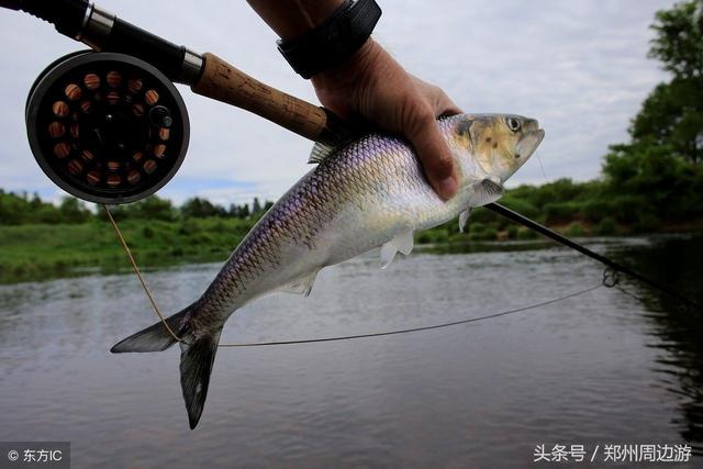 郑州所有野钓地点大全，包括江河和水库，钓友建议收藏