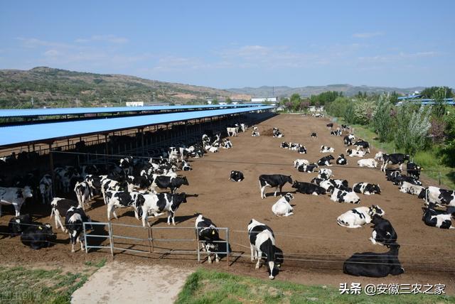 学会申请养殖场建设流程，是你养殖成功的第一步，今天完全公开了