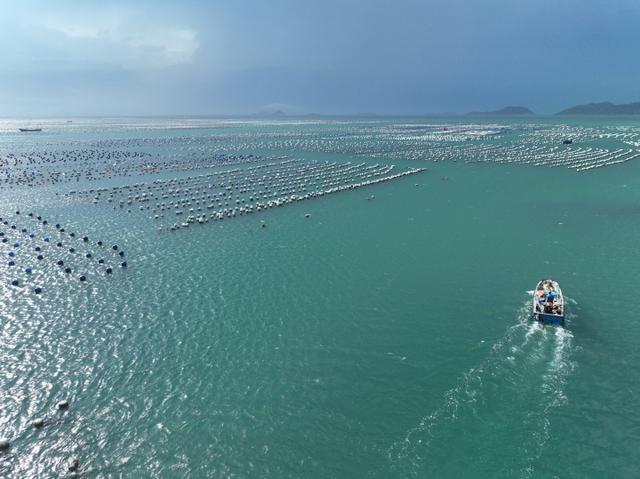 寻找“浙里”蓝色海湾②嵊泗：200万颗浮球换装记