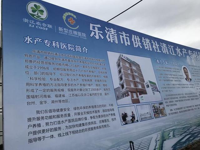 全国首家！乐清建成新型水产专科医院 还能远程看诊