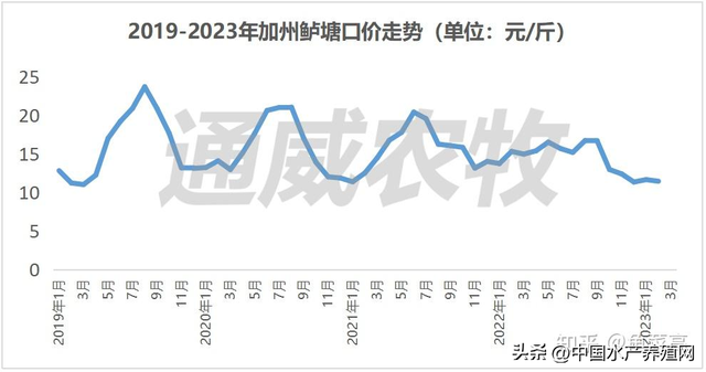 曾经火爆的鲈鱼，如今亏损厉害？通威甩出王炸，为市场注入强心剂