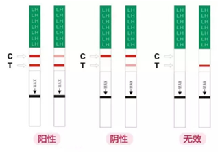 自己在家如何有效监测排卵？试试这些方法和技巧