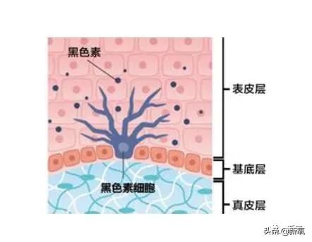 沈梦辰全身擦粉也翻车了...