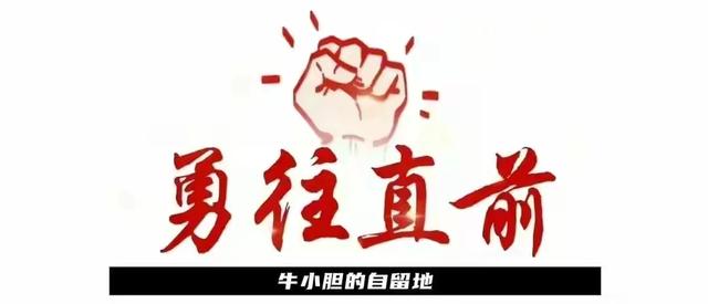 闹大了！曝纽约市长被痛批：美女张嘴爆粗口！网友：女子恐有麻烦