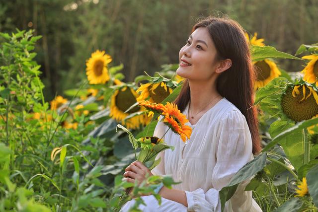 〖人像摄影〗葵花向阳开 美女入画来