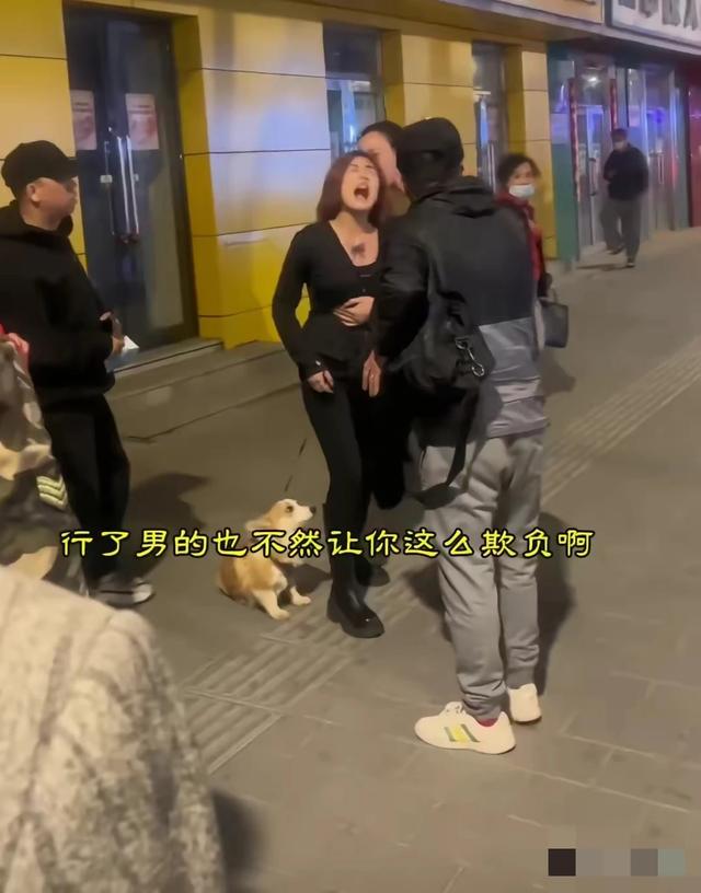 她比狗还凶，女子遛狗不牵绳吓路人，情绪失控与路人争执不休