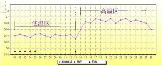 自己在家如何有效监测排卵？试试这些方法和技巧