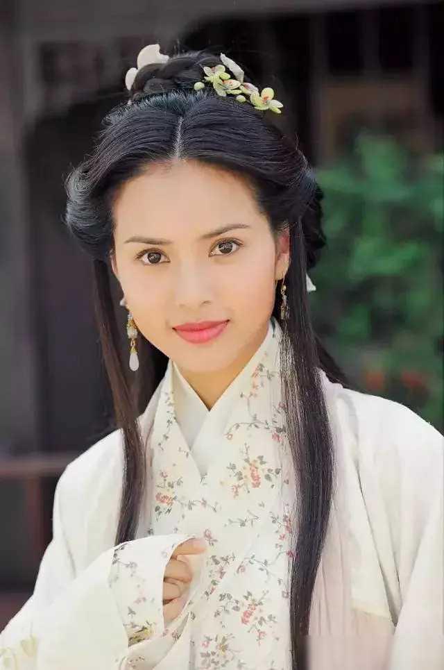 天龙八部全员美女