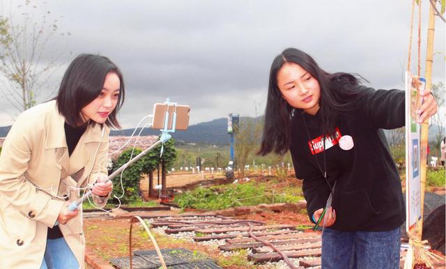 “首届青白江-蓉欧特色生态农产品文化节”系列报道之十八：四川发布小姐姐直播哼哼农场：二维马小香猪成网红